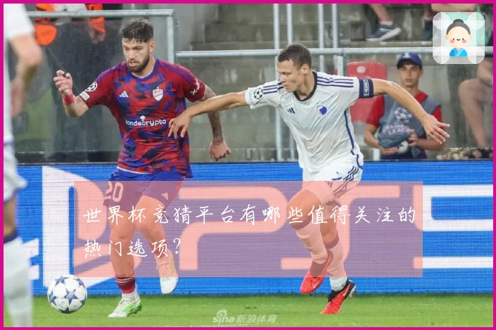 世界杯竞猜平台有哪些值得关注的热门选项？