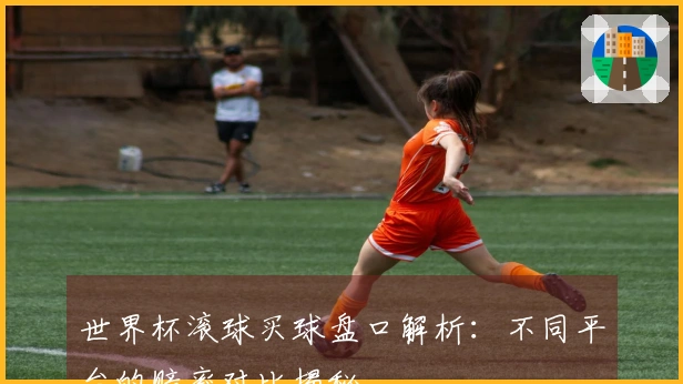 世界杯滚球买球盘口解析：不同平台的赔率对比揭秘