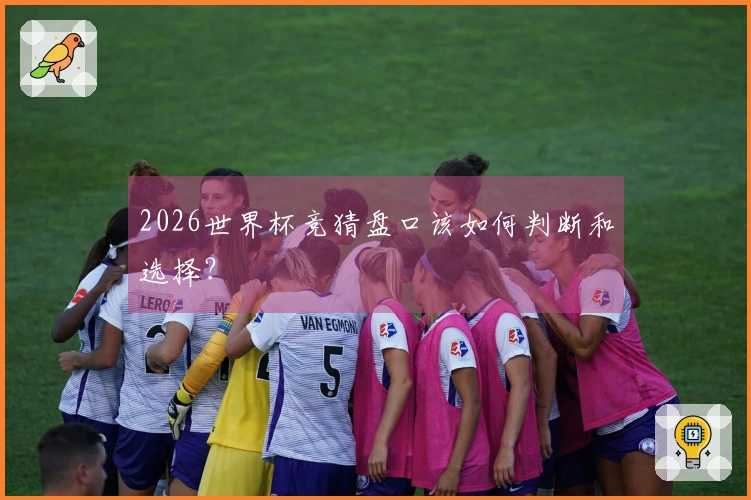 2026世界杯竞猜盘口该如何判断和选择？
