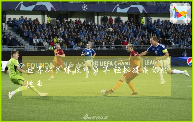 世界杯买球技巧分享 轻松提高你的胜率
