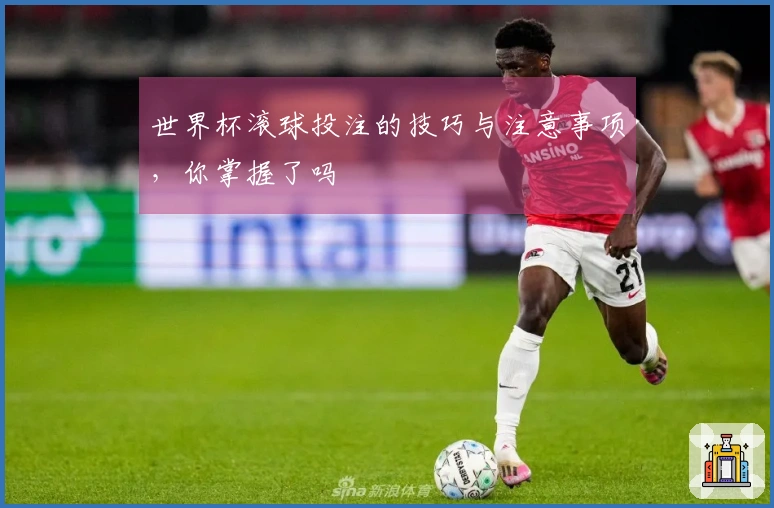 世界杯滚球投注的技巧与注意事项，你掌握了吗