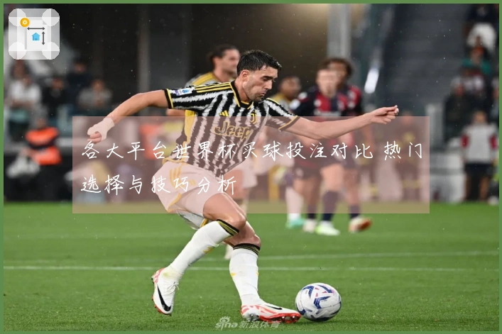 各大平台世界杯买球投注对比 热门选择与技巧分析