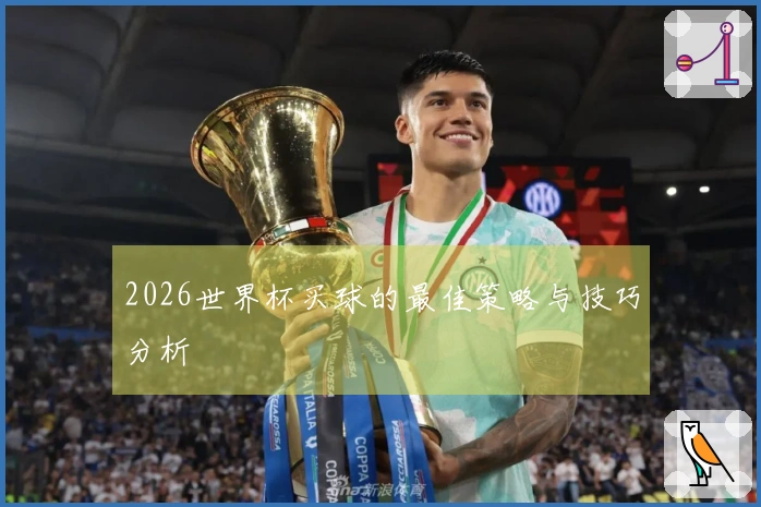 2026世界杯买球的最佳策略与技巧分析