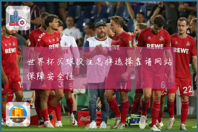 世界杯买球投注怎样选择靠谱网站保障安全性