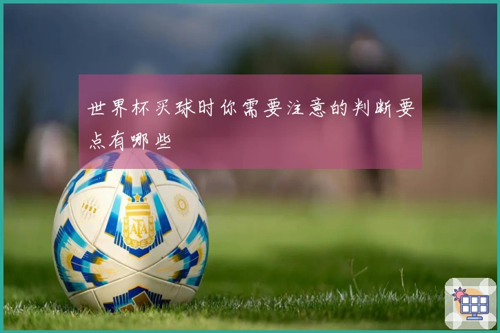 世界杯买球时你需要注意的判断要点有哪些