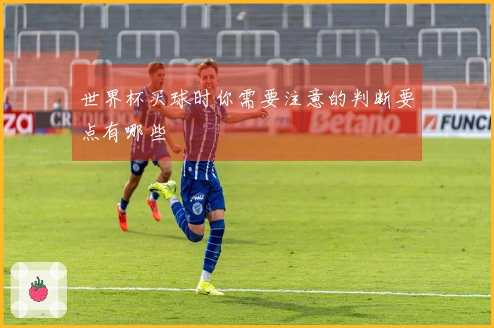 世界杯买球时你需要注意的判断要点有哪些