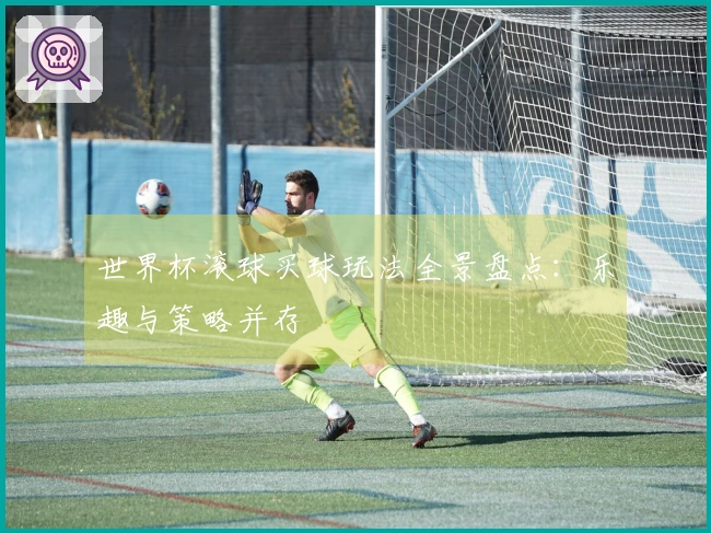 世界杯滚球买球玩法全景盘点：乐趣与策略并存