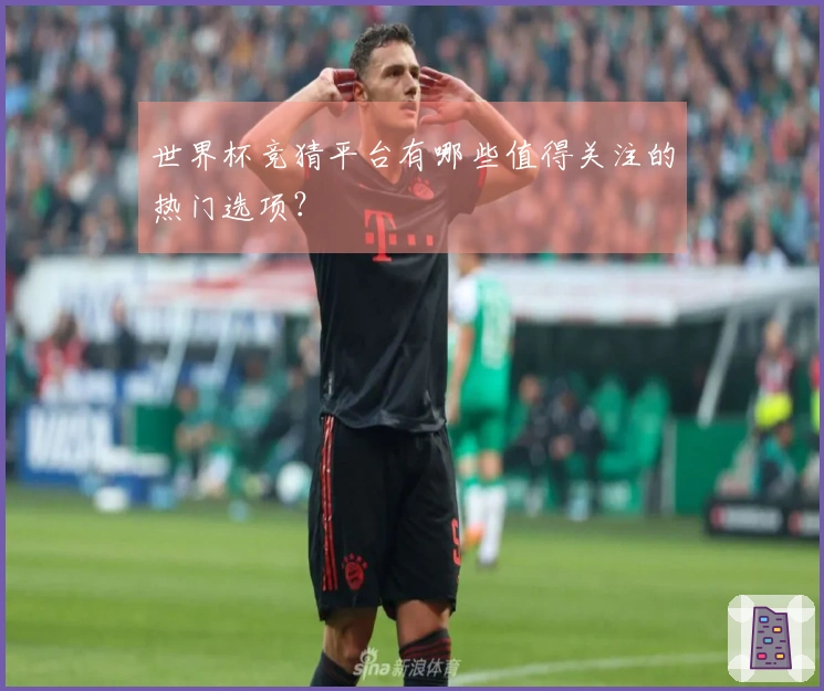 世界杯竞猜平台有哪些值得关注的热门选项？