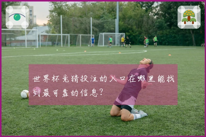 世界杯竞猜投注的入口在哪里能找到最可靠的信息？