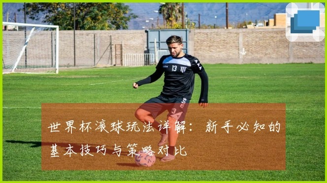 世界杯滚球玩法详解：新手必知的基本技巧与策略对比